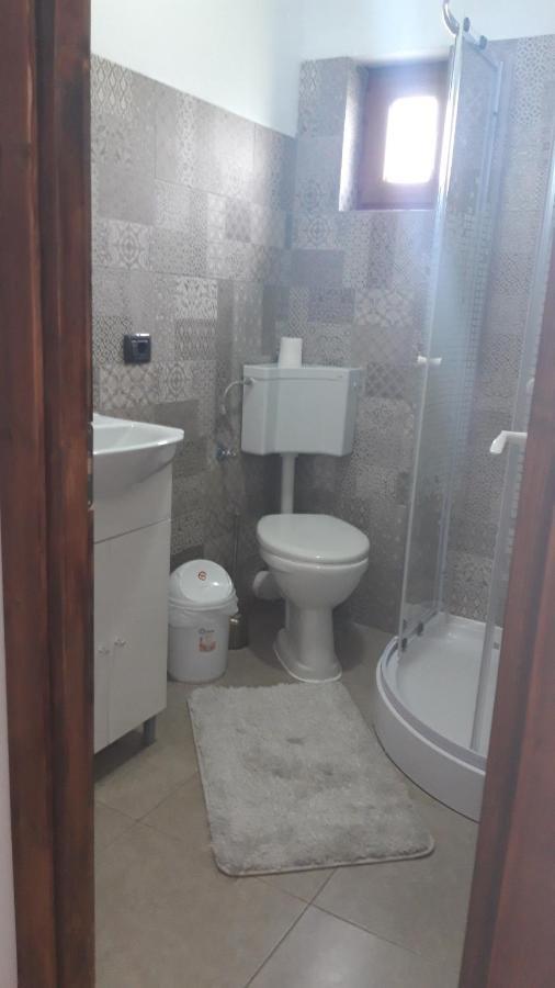 Casa Viorica Ξενοδοχείο Statiunea Εξωτερικό φωτογραφία