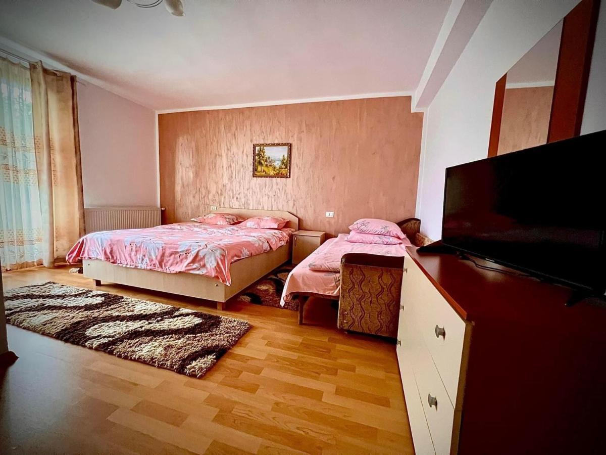 Casa Viorica Ξενοδοχείο Statiunea Εξωτερικό φωτογραφία