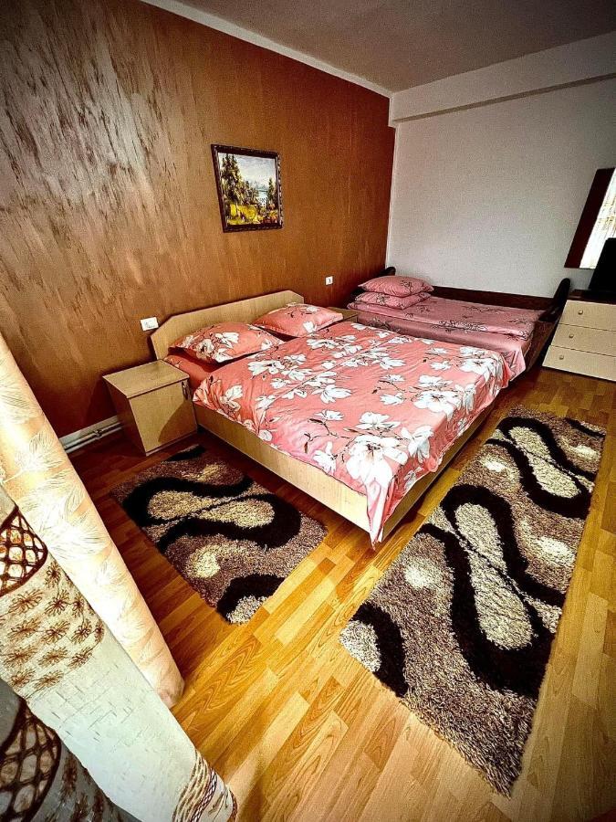 Casa Viorica Ξενοδοχείο Statiunea Εξωτερικό φωτογραφία