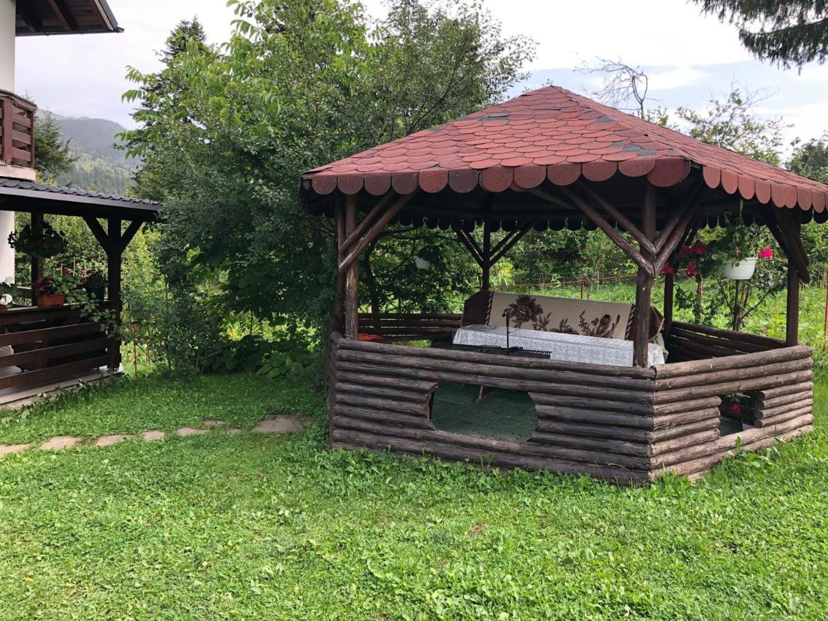 Casa Viorica Ξενοδοχείο Statiunea Εξωτερικό φωτογραφία