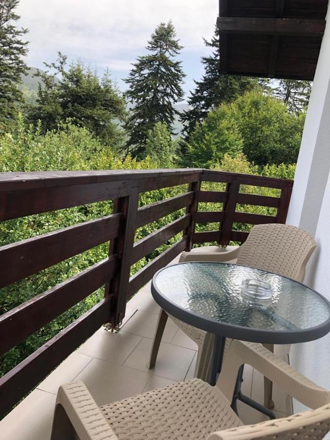 Casa Viorica Ξενοδοχείο Statiunea Εξωτερικό φωτογραφία