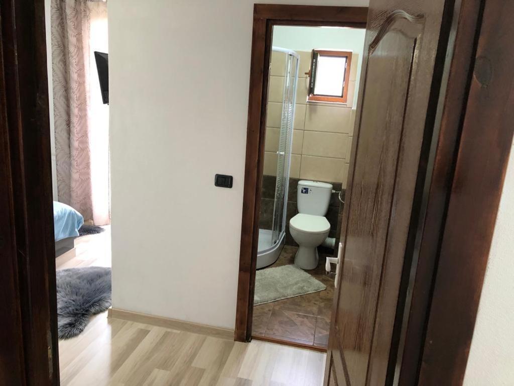 Casa Viorica Ξενοδοχείο Statiunea Εξωτερικό φωτογραφία