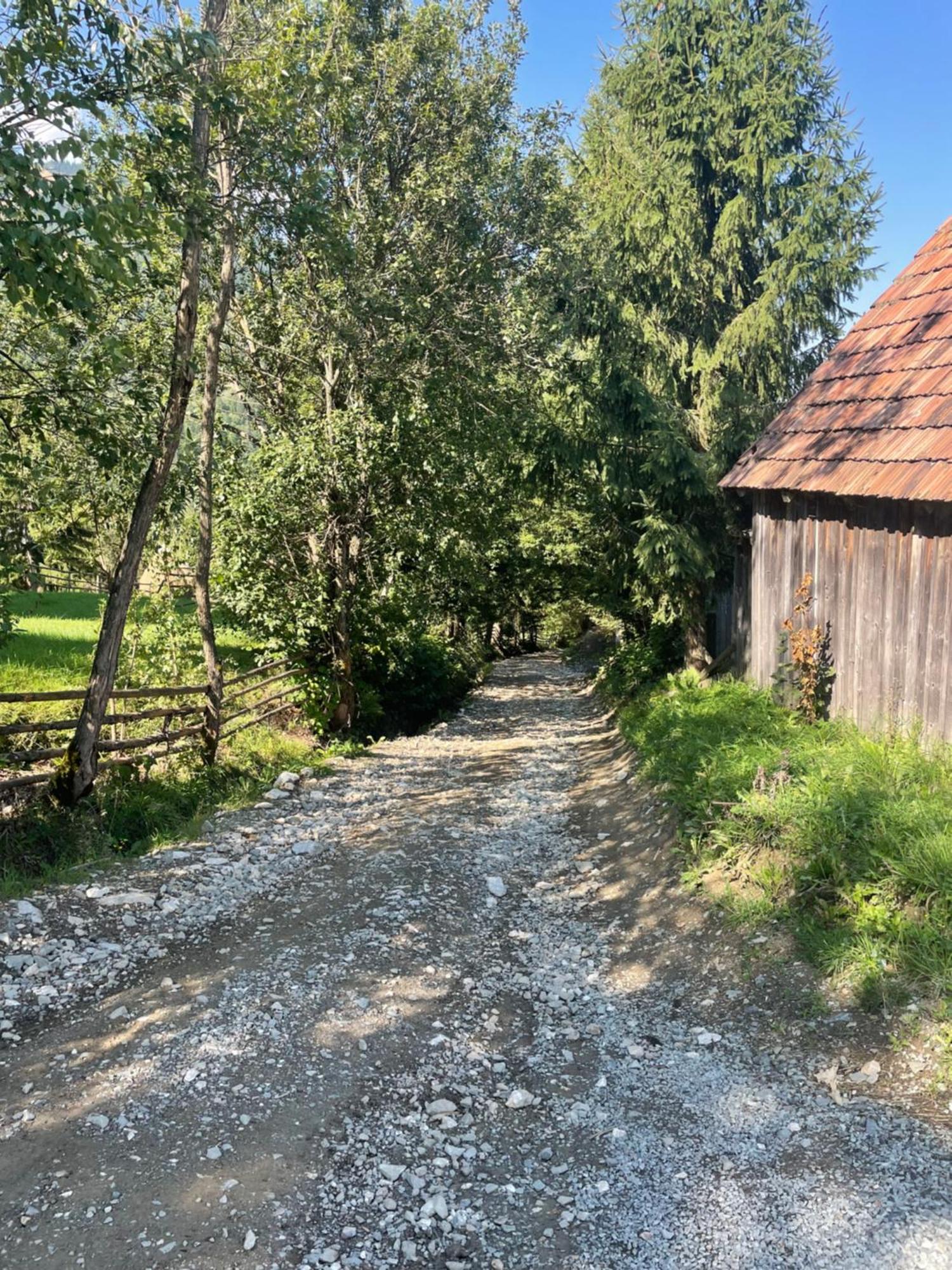 Casa Viorica Ξενοδοχείο Statiunea Εξωτερικό φωτογραφία